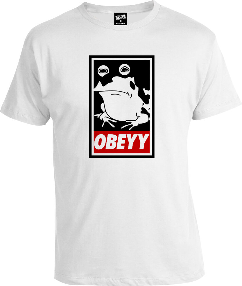 Футболка Futurama Hypno Toad