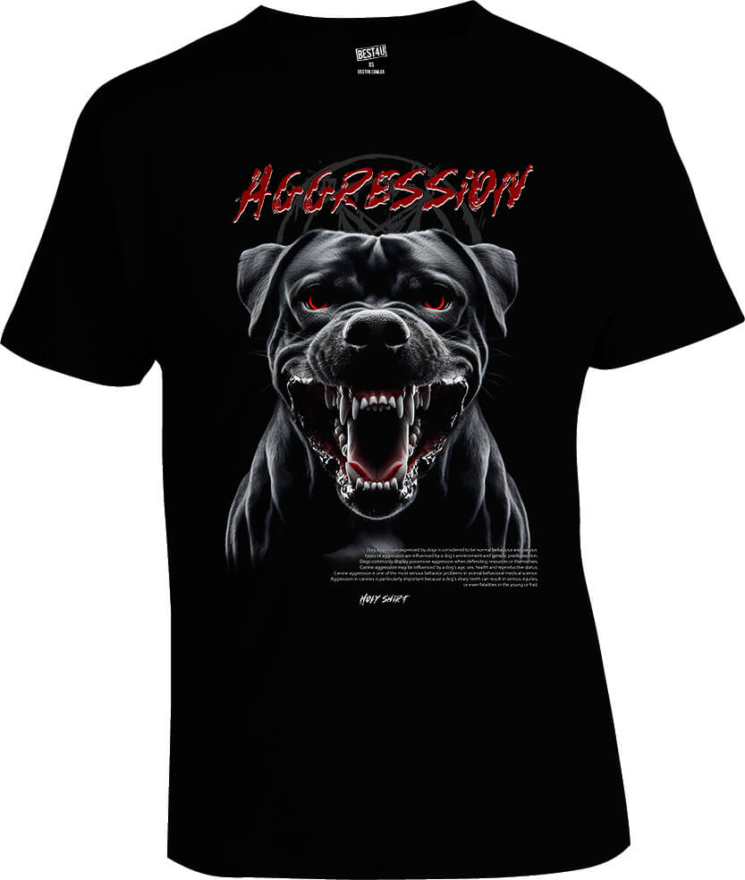 Футболка Holy Shirt Aggression