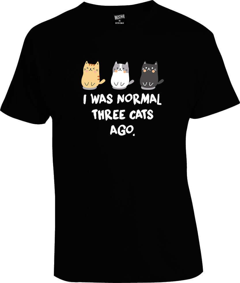Футболка I Was Normal Three Cats Ago